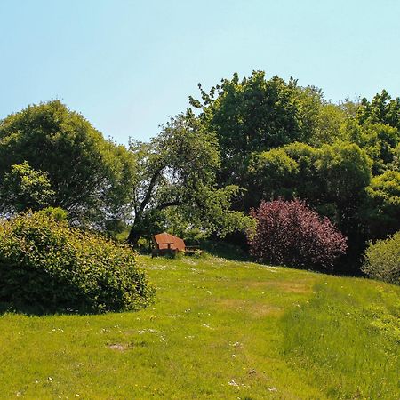 Lejasbisenieki Villa Turaida Buitenkant foto