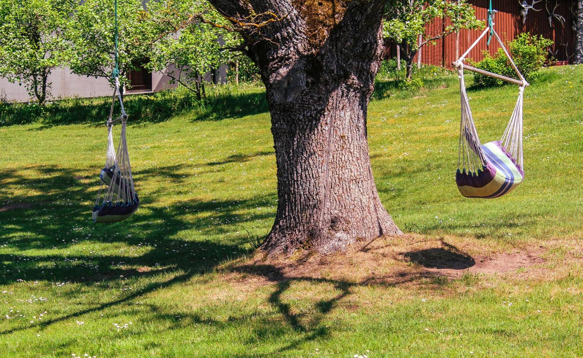 Lejasbisenieki Villa Turaida Buitenkant foto