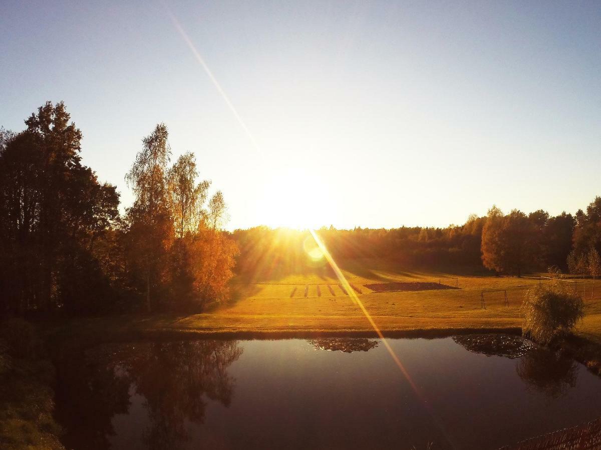 Lejasbisenieki Villa Turaida Buitenkant foto